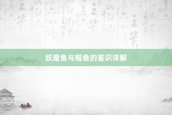 妖魔鱼与鳐鱼的鉴识详解