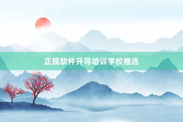 正规软件开导培训学校推选